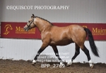 BPP_2769