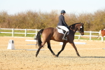 SBM_004603