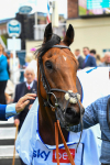 290723-Race 1-Soul Seeker-0348