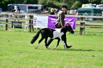 SBM_03645