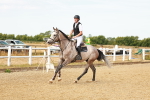 SBM_002433