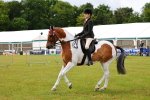 SBM_02526