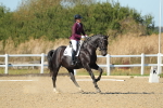 SBM_001923