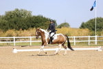 SBM_009315