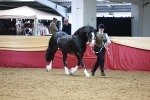 SBM_17467