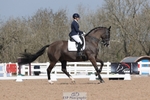 Cls 11 BD Young Horse 7YO portfolio