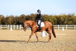 SBM_009049