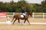 SBM_000934