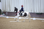 SBM_001864
