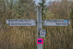 Kielder Ultra-769
