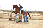 SBM_008420