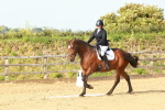 SBM_000280