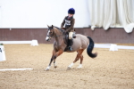 SBM_000049