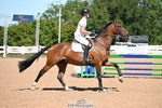 Wednesday 9th Senior BS - Click to Enter portfolio