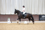 SBM_010181