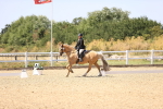 SBM_012224