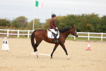 SBM_000462