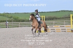 BPP_1299