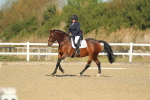 SBM_000201