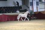 SBM_15205