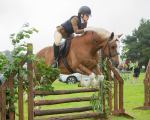 Dunblane show-546