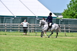 SBM_17435