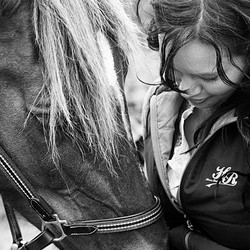 horse-cuddles