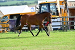 SBM_01067