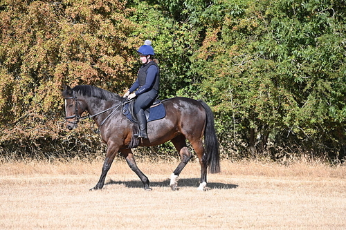 WJ6_6911