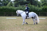 WJ6_3276