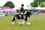 SBM_01145