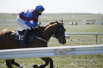 Larkhill Point-to-Point Racing 25/04/21 portfolio