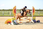 SBM_000652