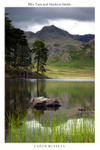 Blea Tarn and Harrison Stickle