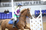 SBM_003365