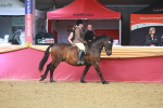 SBM_10539