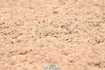 240621A-134929-04171