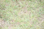 SBM_05948