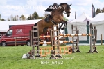 BPP_6492