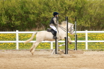 SBM_003890