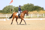 SBM_010499