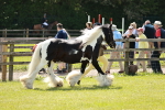 SBM_04145