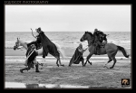 equiscot 8729