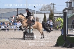 BPP_1294