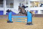 Class 16 - The WB Equiline Star Championship Qualifier (1.10m) portfolio