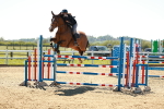 SBM_001809