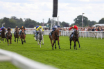290723-Race 5-Baez-3989