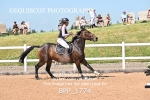 BPP_1774