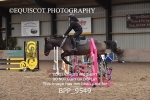 CLASS 6 70CM Intermediate Show Jumping portfolio