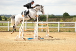SBM_010293